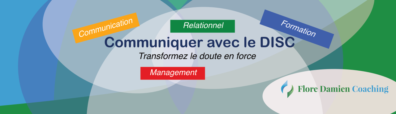 Formation sur mesure DISC Relationnel Management Équipe Formation